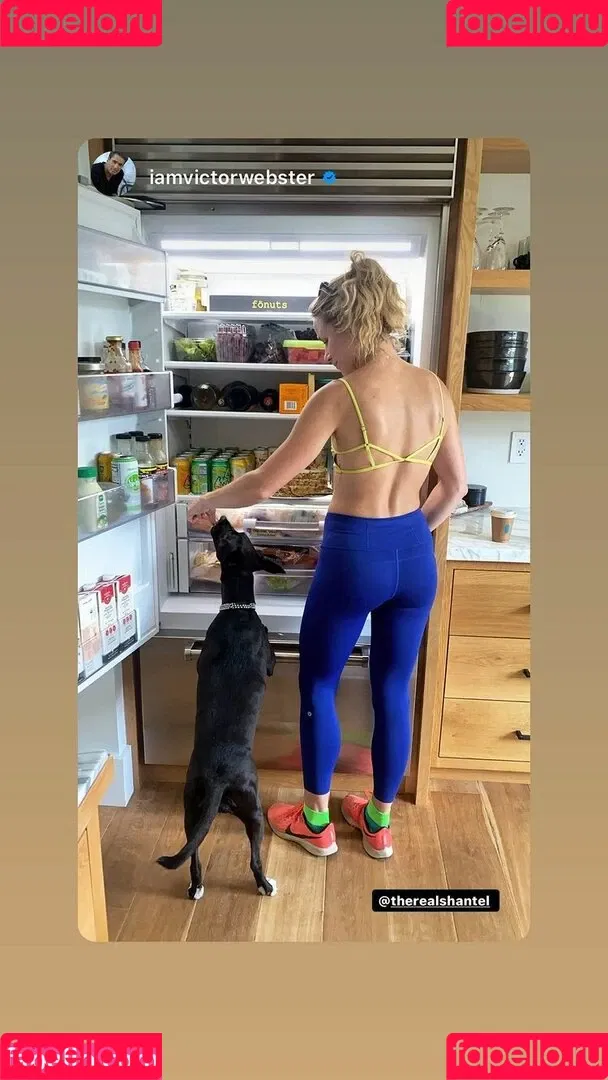 Shantel VanSanten / therealshantel Onlyfans Photo Gallery 