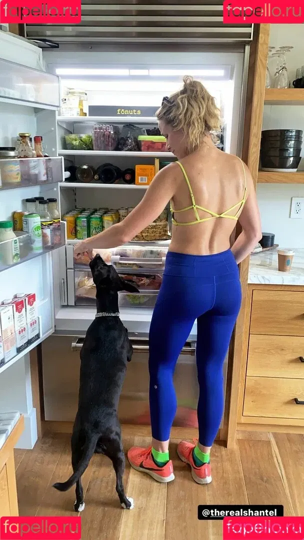 Shantel VanSanten / therealshantel Onlyfans Photo Gallery 
