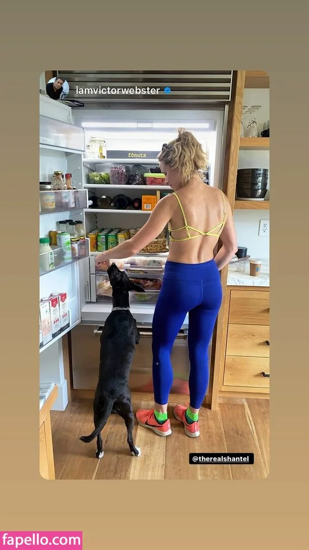 Shantel VanSanten / therealshantel Onlyfans Photo Gallery 