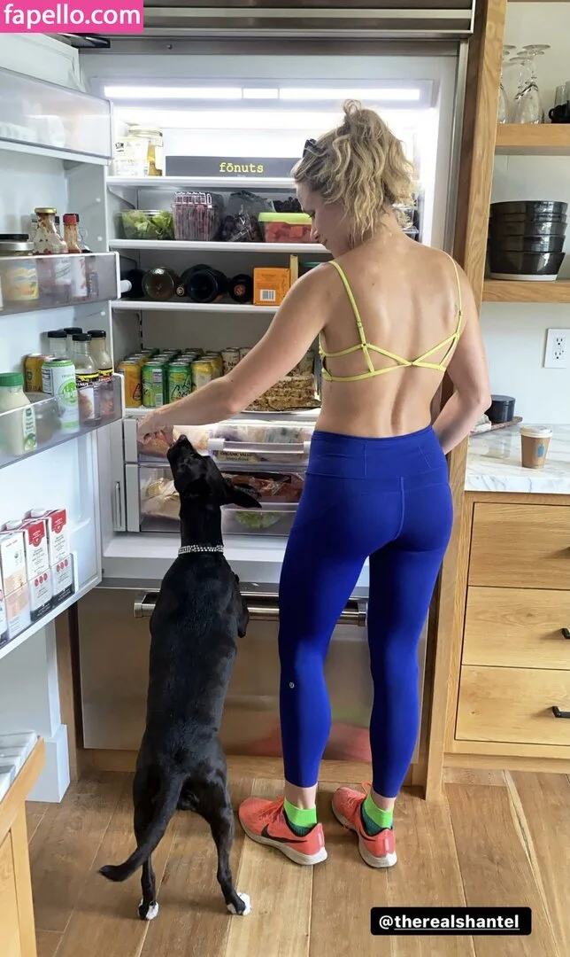 Shantel VanSanten / therealshantel Onlyfans Photo Gallery 