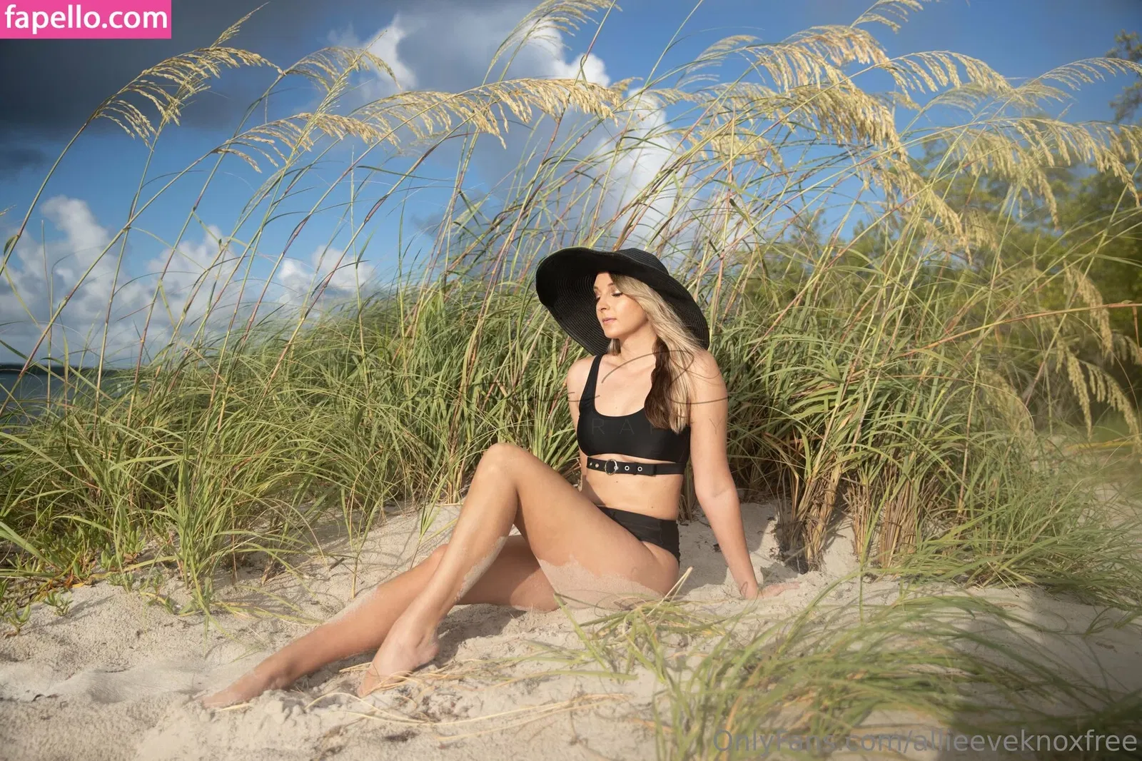 allieeveknoxfree / allieeveland Onlyfans Photo Gallery 