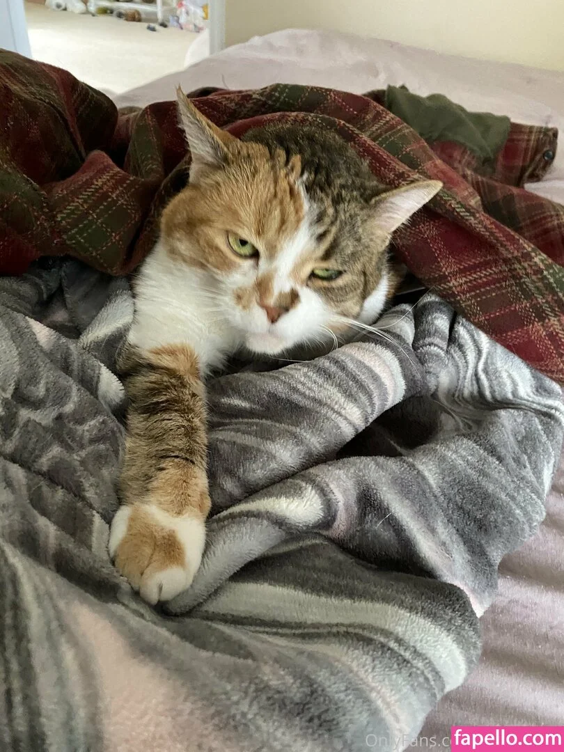 bellecreed / only_belle_creed Onlyfans Photo Gallery 