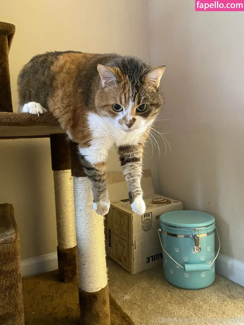 bellecreed / only_belle_creed Onlyfans Photo Gallery 