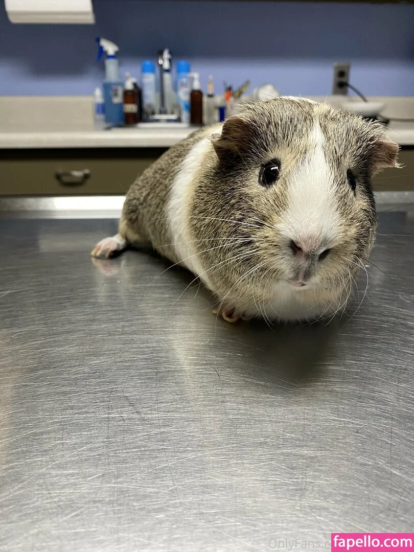 bellecreed / only_belle_creed Onlyfans Photo Gallery 