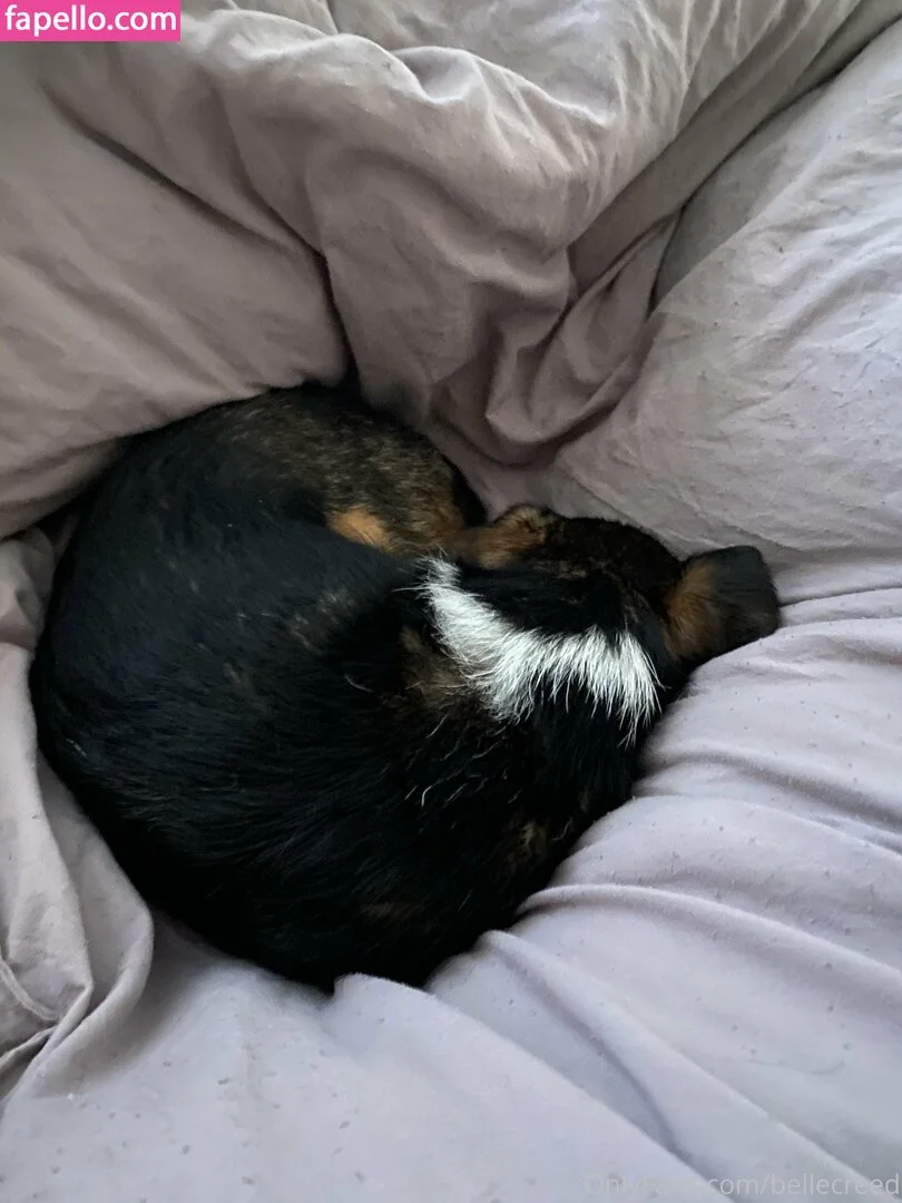 bellecreed / only_belle_creed Onlyfans Photo Gallery 