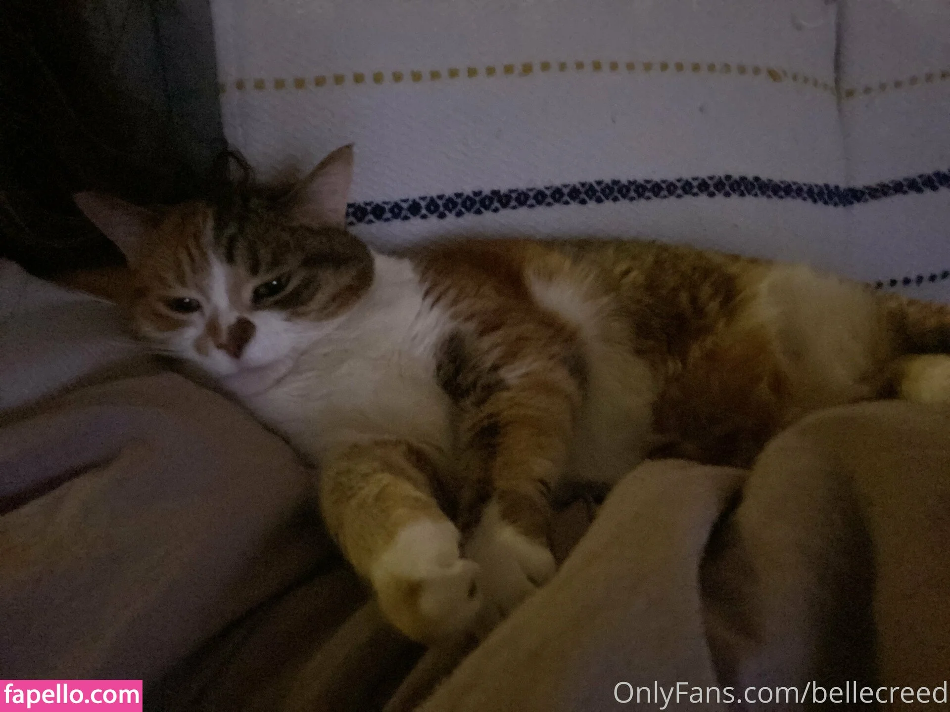 bellecreed / only_belle_creed Onlyfans Photo Gallery 