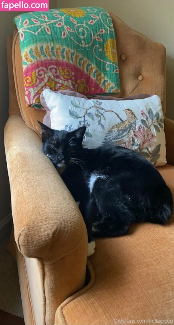 bellecreed / only_belle_creed Onlyfans Photo Gallery 