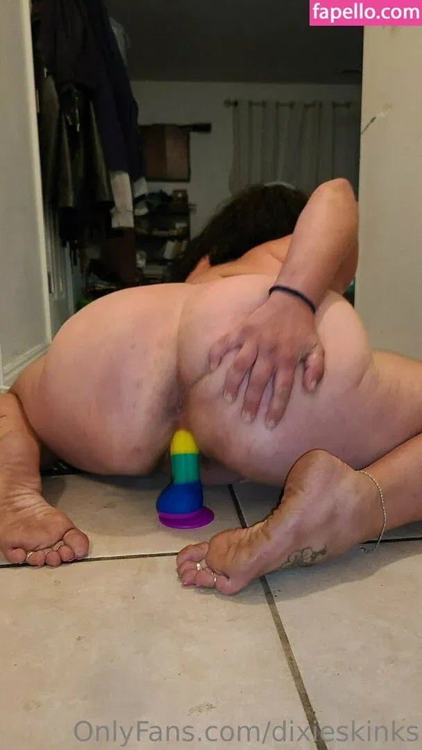 dixieperkins8001 / dixieskinks Onlyfans Photo Gallery 