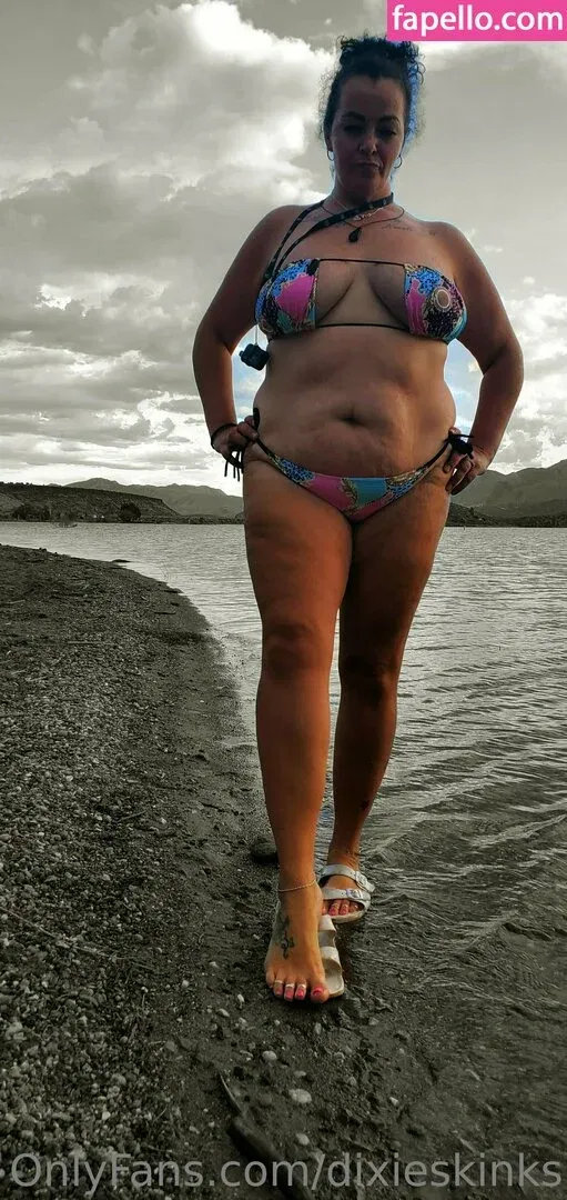 dixieperkins8001 / dixieskinks Onlyfans Photo Gallery 