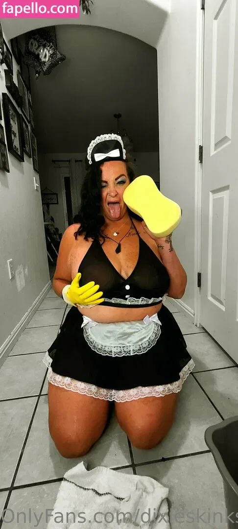 dixieperkins8001 / dixieskinks Onlyfans Photo Gallery 