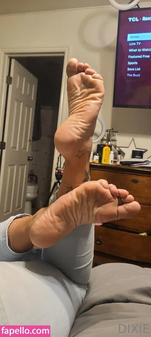 dixieperkins8001 / dixieskinks Onlyfans Photo Gallery 