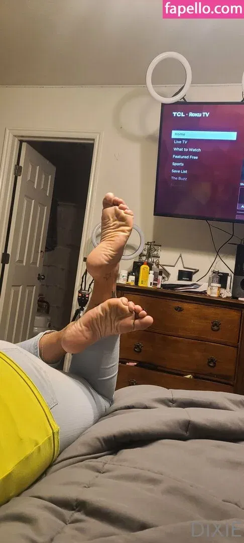 dixieperkins8001 / dixieskinks Onlyfans Photo Gallery 