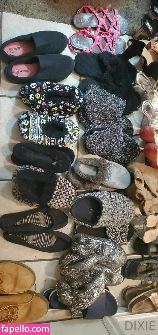 dixieperkins8001 / dixieskinks Onlyfans Photo Gallery 