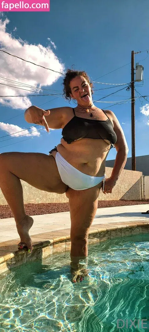 dixieperkins8001 / dixieskinks Onlyfans Photo Gallery 