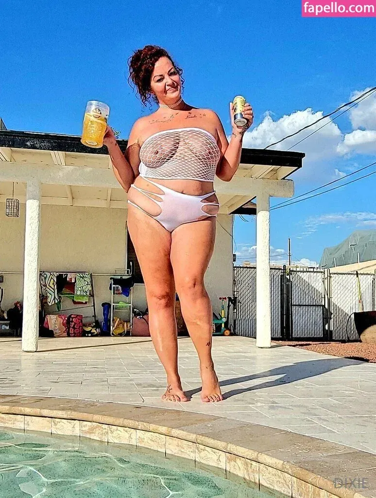 dixieperkins8001 / dixieskinks Onlyfans Photo Gallery 