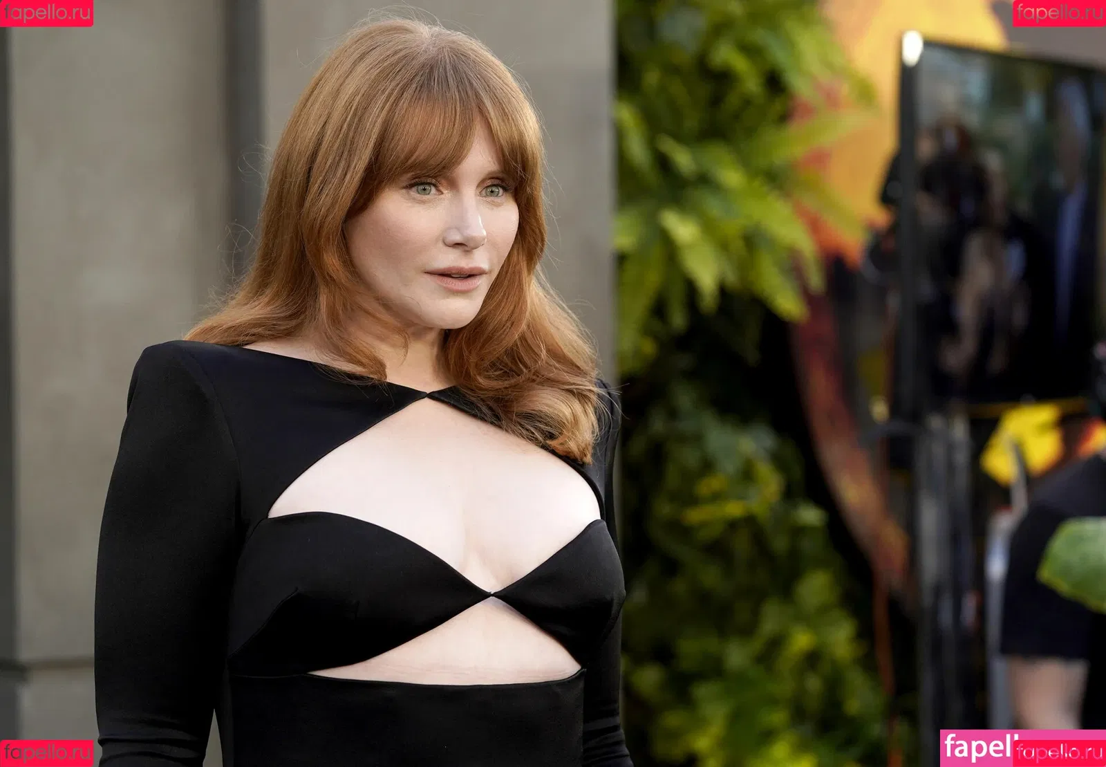 Bryce Dallas Howard / brycedhoward Onlyfans Photo Gallery 