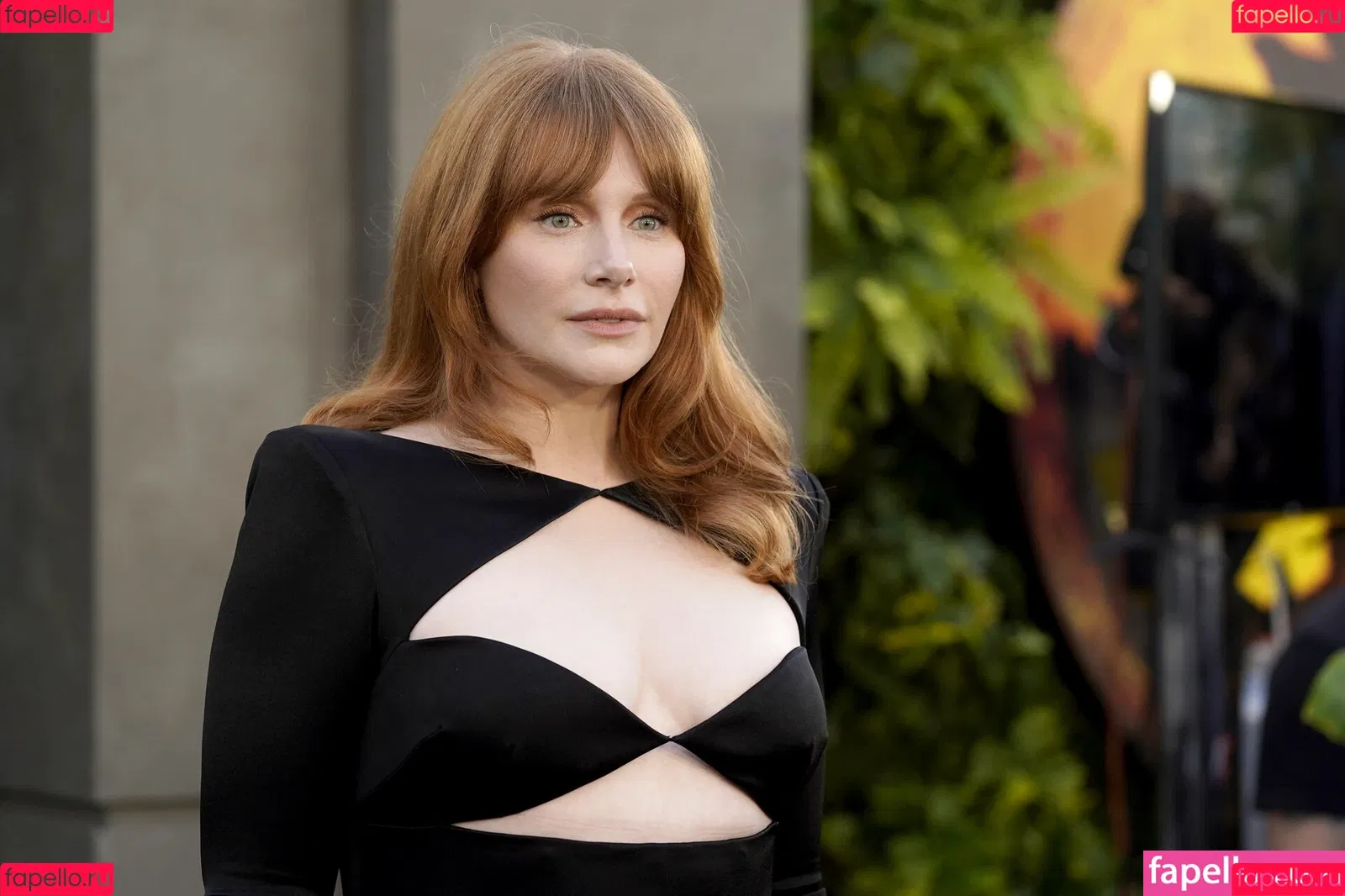 Bryce Dallas Howard / brycedhoward Onlyfans Photo Gallery 