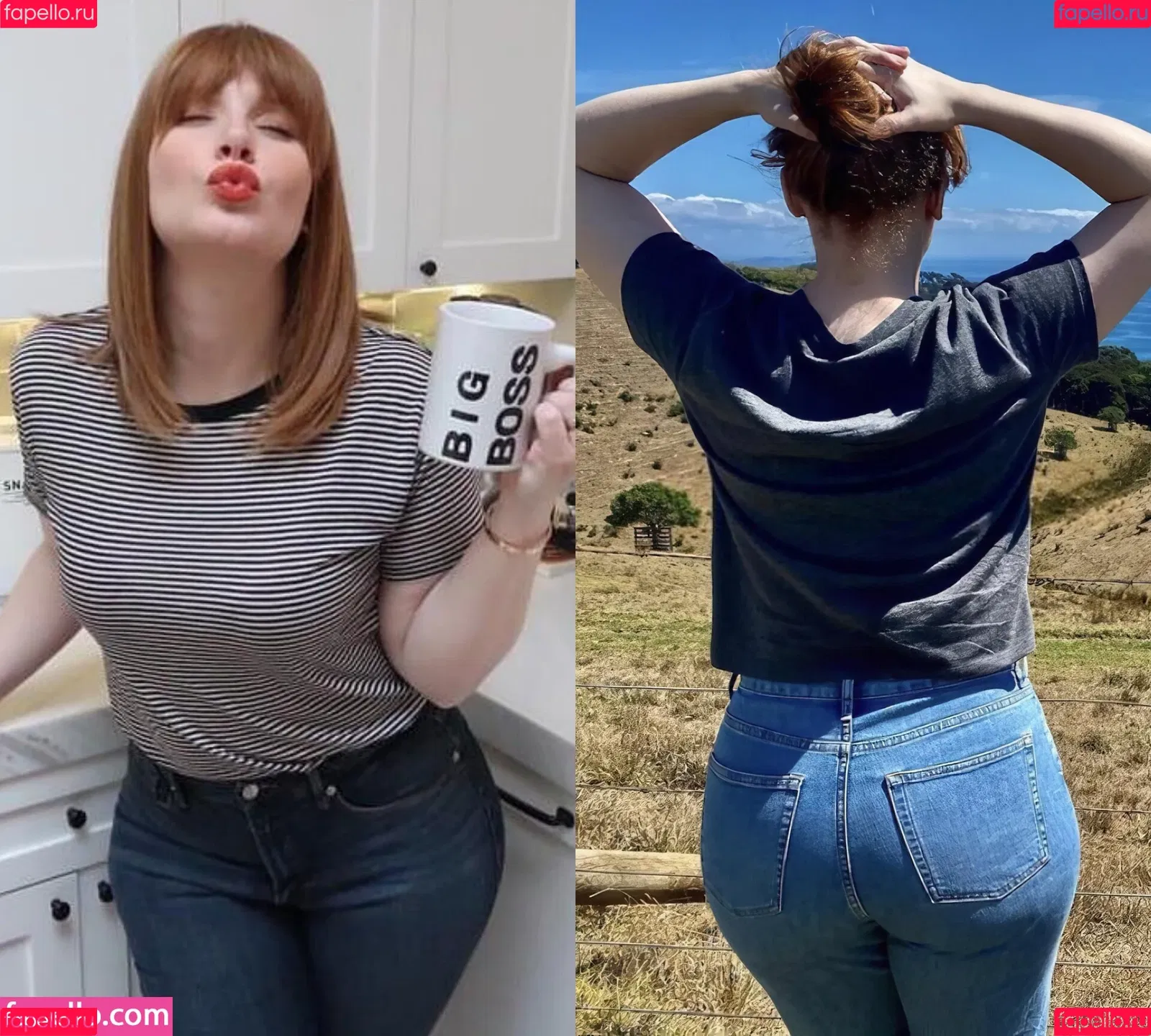 Bryce Dallas Howard / brycedhoward Onlyfans Photo Gallery 