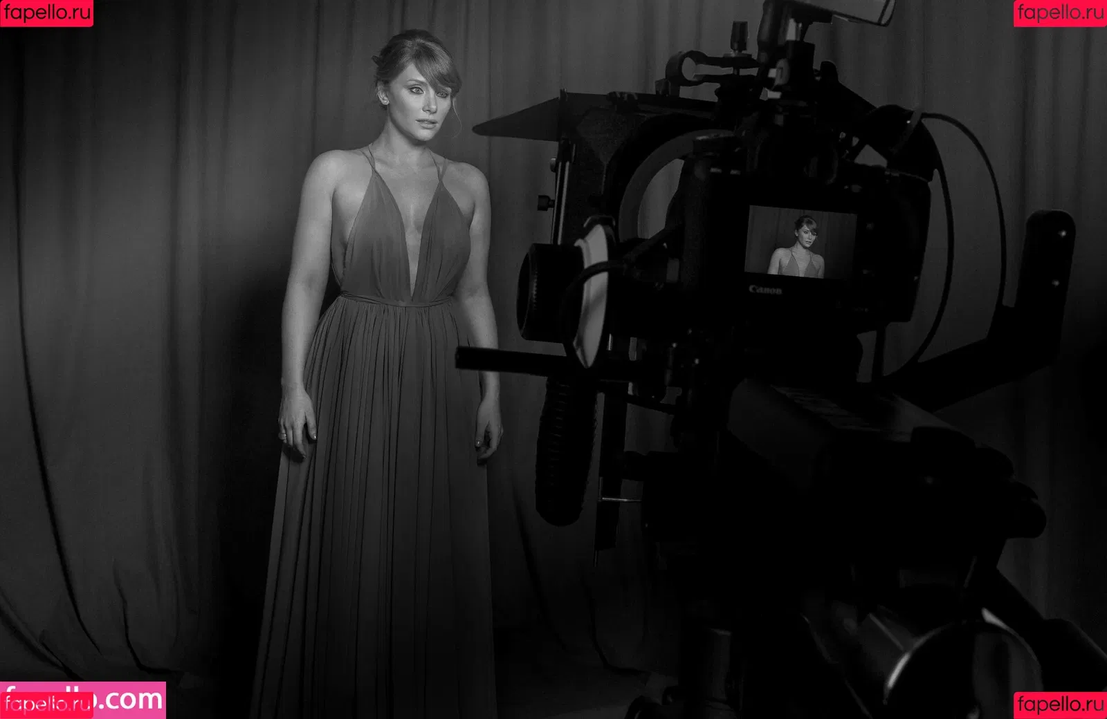Bryce Dallas Howard / brycedhoward Onlyfans Photo Gallery 
