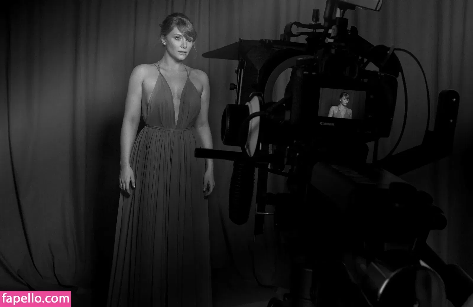 Bryce Dallas Howard / brycedhoward Onlyfans Photo Gallery 