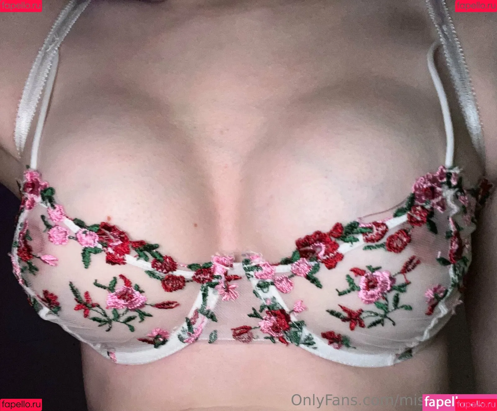 Misslushrose / brittney-bush / lilmissross / misslushrose222 Onlyfans Photo Gallery 