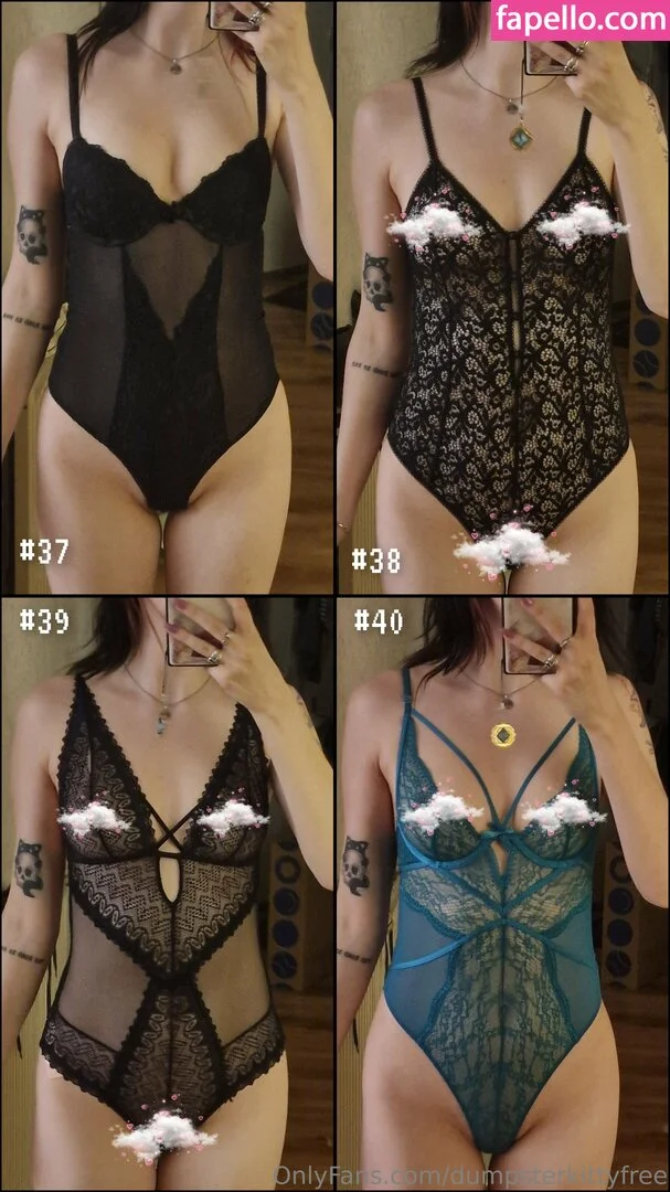 dumpsterkitty / dumpsterkittyfree Onlyfans Photo Gallery 