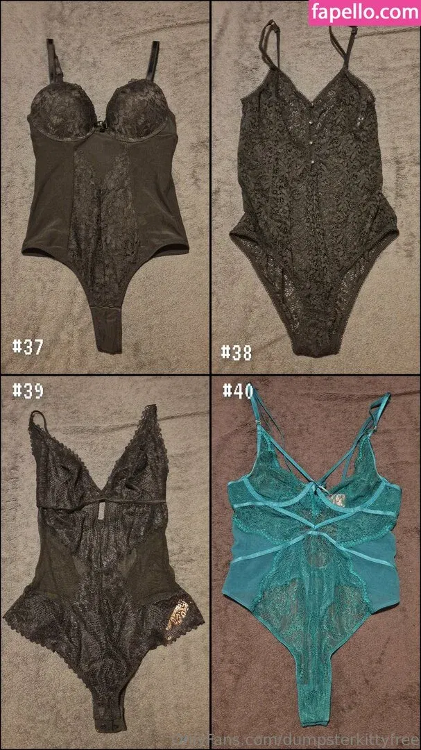 dumpsterkitty / dumpsterkittyfree Onlyfans Photo Gallery 