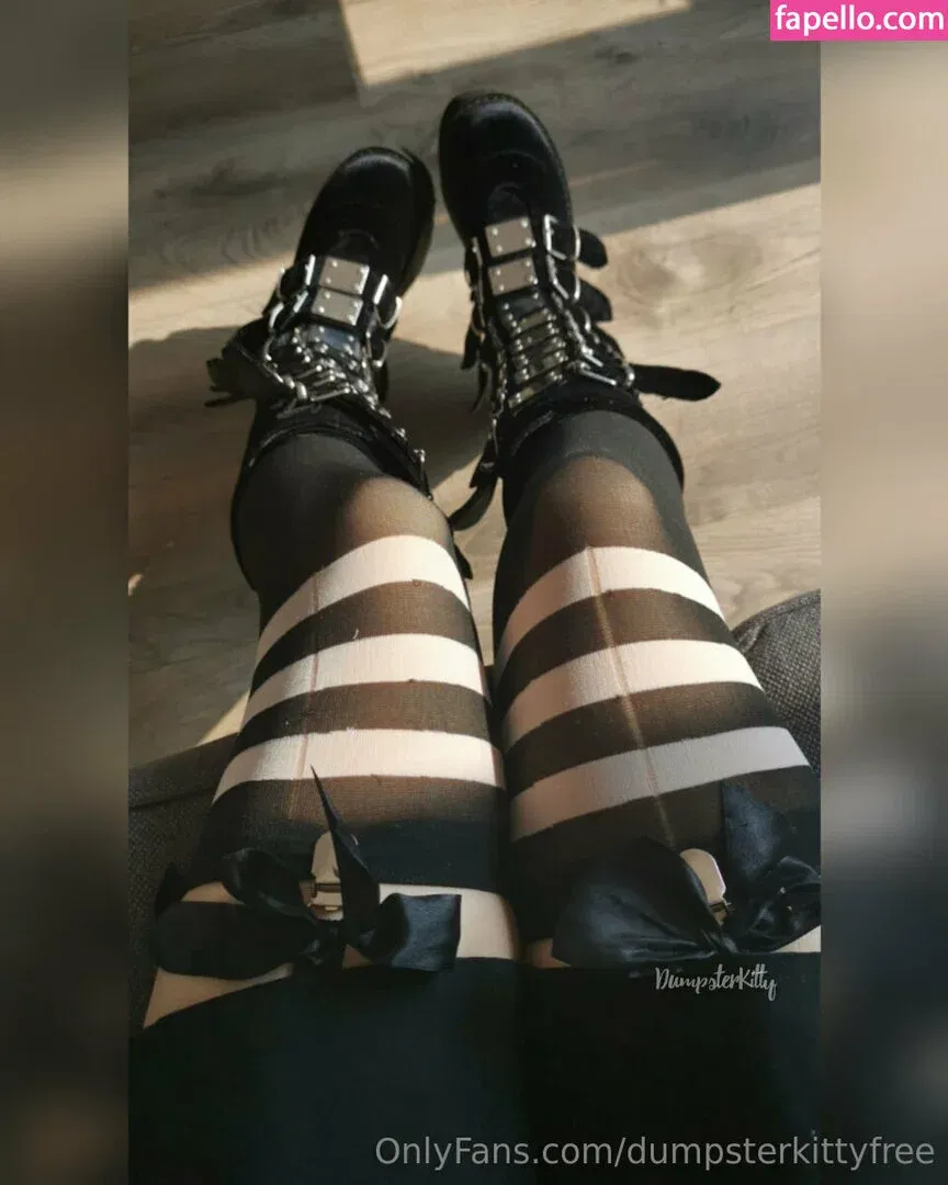 dumpsterkitty / dumpsterkittyfree Onlyfans Photo Gallery 