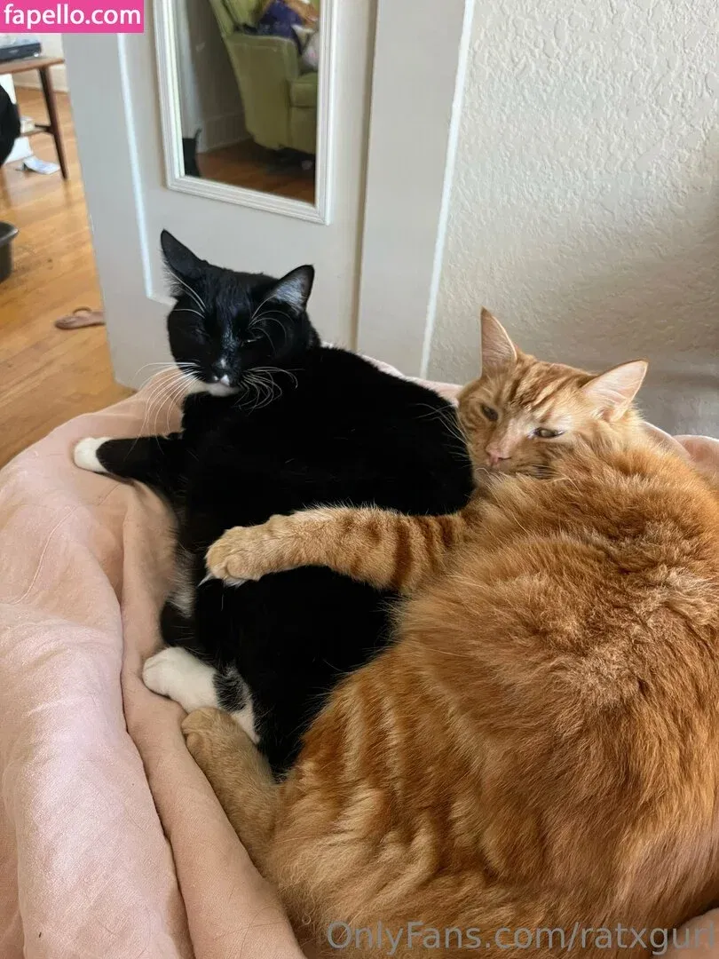 Own_Practice_8161 / ratxgurl / u Onlyfans Photo Gallery 