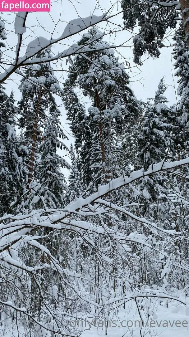 aletta miller / eva / evavee / yourevavee Onlyfans Photo Gallery 