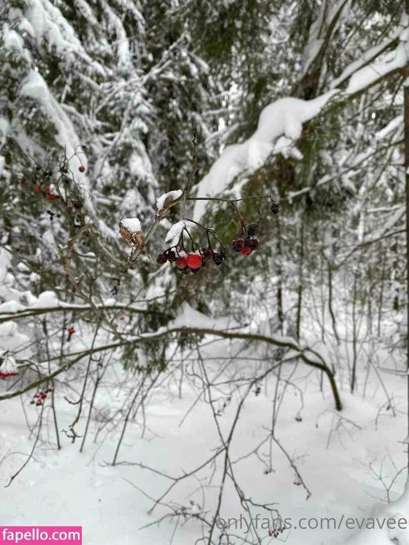 aletta miller / eva / evavee / yourevavee Onlyfans Photo Gallery 