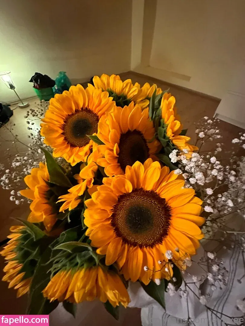 aletta miller / eva / evavee / yourevavee Onlyfans Photo Gallery 