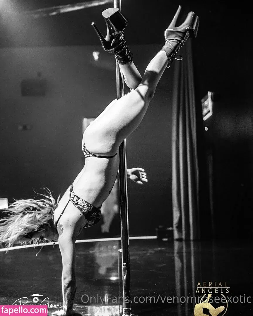 djbobbymac / venomroseexotic Onlyfans Photo Gallery 