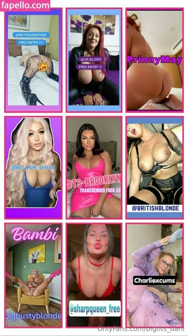 biglittledani / bigtits_dani Onlyfans Photo Gallery 
