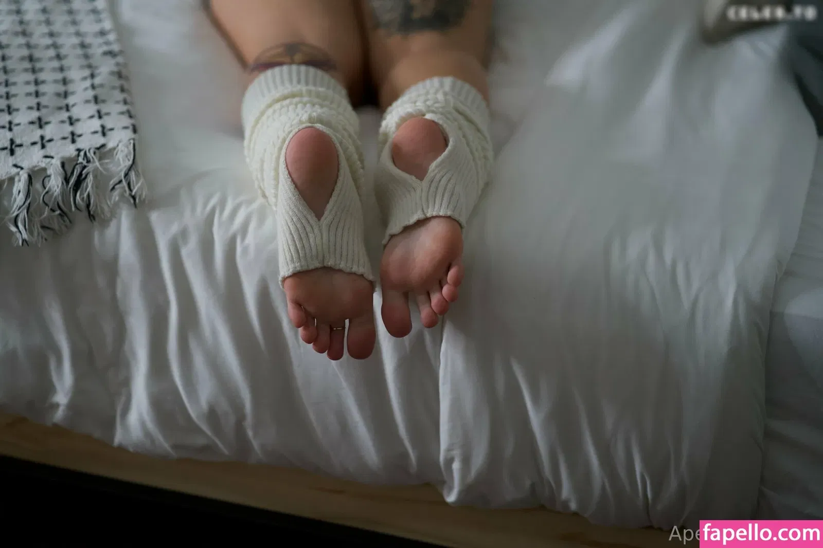 apex_sg / apex_sg_ Onlyfans Photo Gallery 