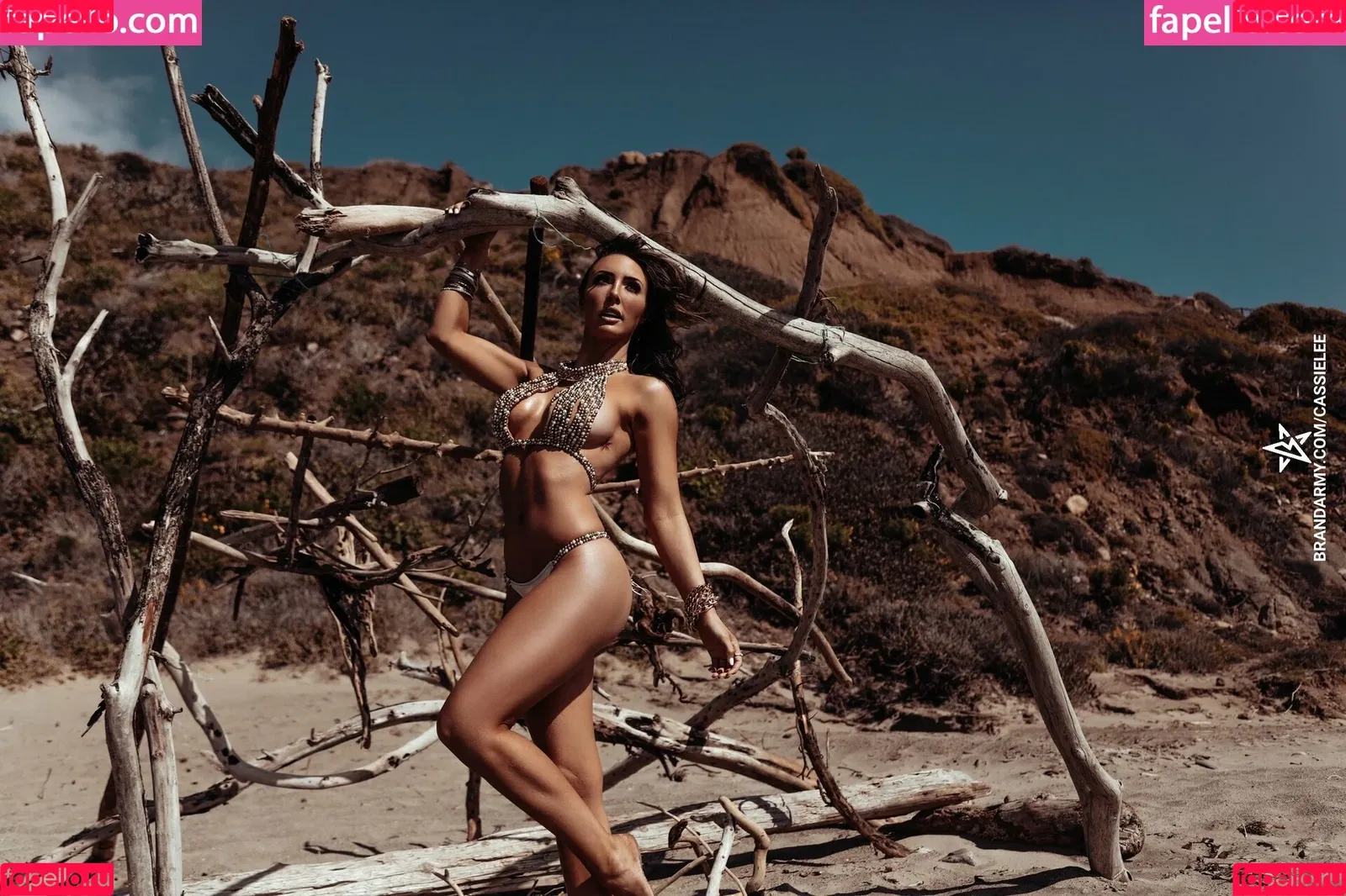 Billie Kay / Cassie Lee / Jess McKay / Peyton Royce / cassielee Onlyfans Photo Gallery 