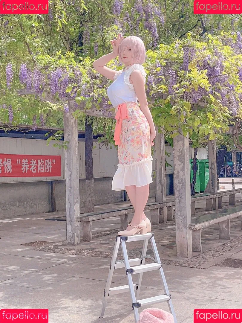 Hoshilily / hoshilily1 / hoshilily_cos / 星之迟迟 Onlyfans Photo Gallery 