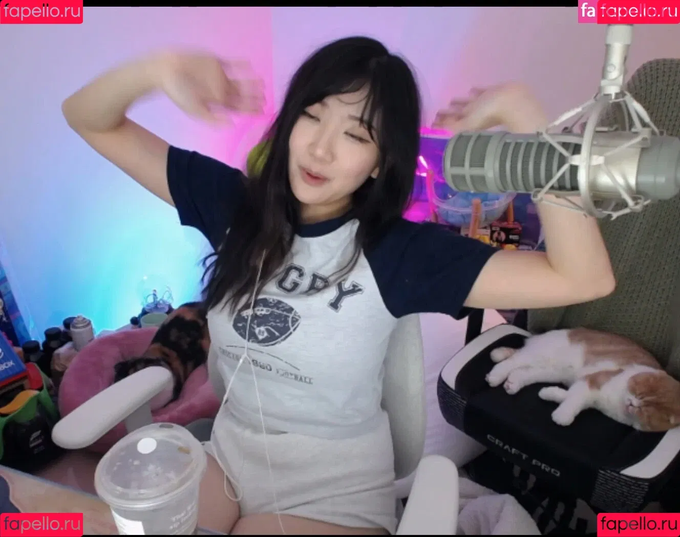 AriaSaki / annoyingaria Onlyfans Photo Gallery 
