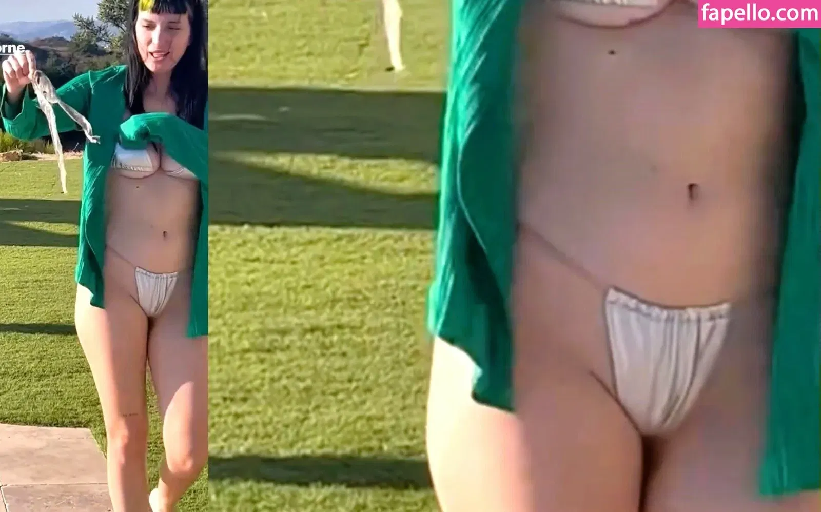 Dani Thorne / dani_thorne Onlyfans Photo Gallery 