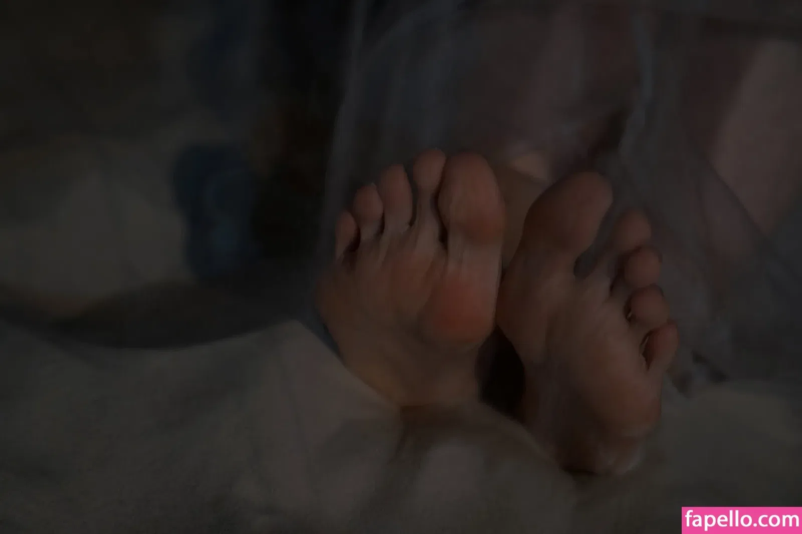 Sorabi / sorabi_meow Onlyfans Photo Gallery 