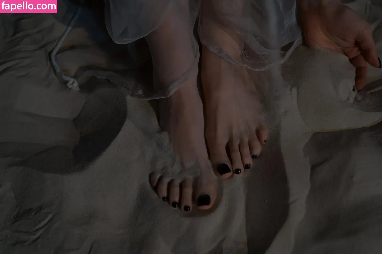 Sorabi / sorabi_meow Onlyfans Photo Gallery 