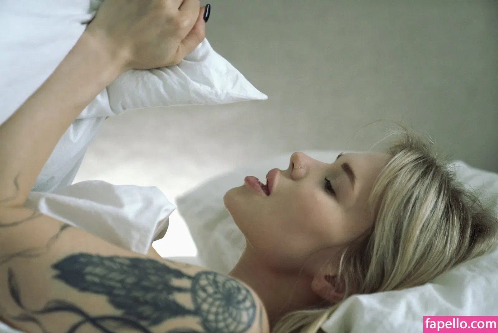 Sorabi / sorabi_meow Onlyfans Photo Gallery 