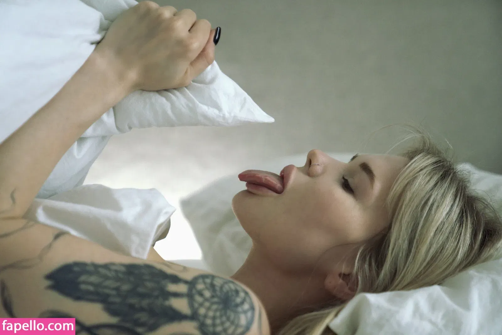 Sorabi / sorabi_meow Onlyfans Photo Gallery 