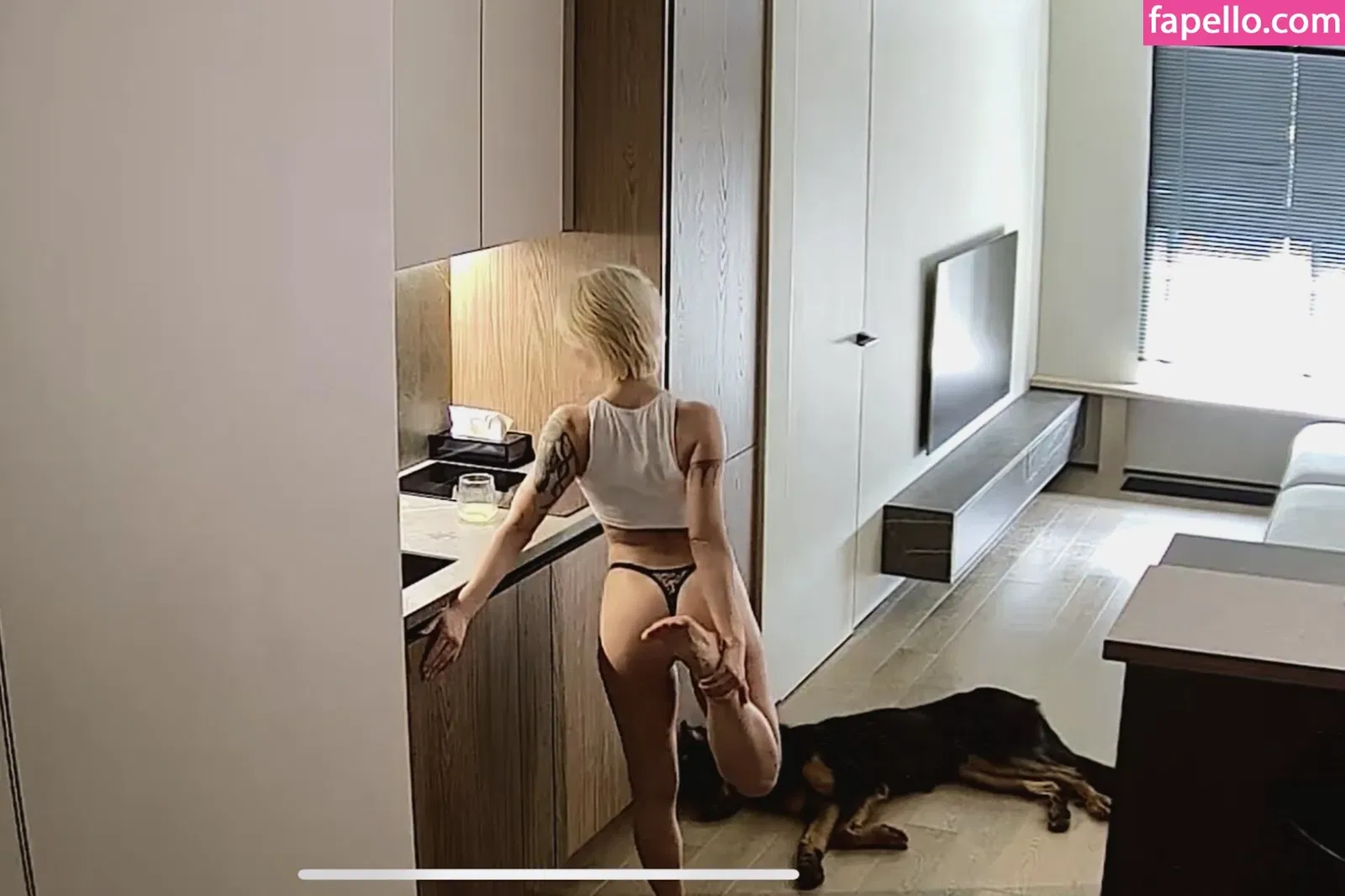 Sorabi / sorabi_meow Onlyfans Photo Gallery 