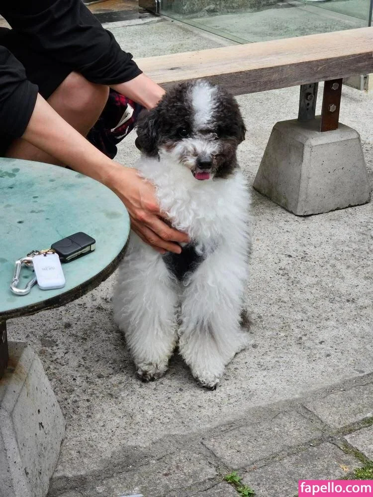 xxapple / xxapple_e Onlyfans Photo Gallery 