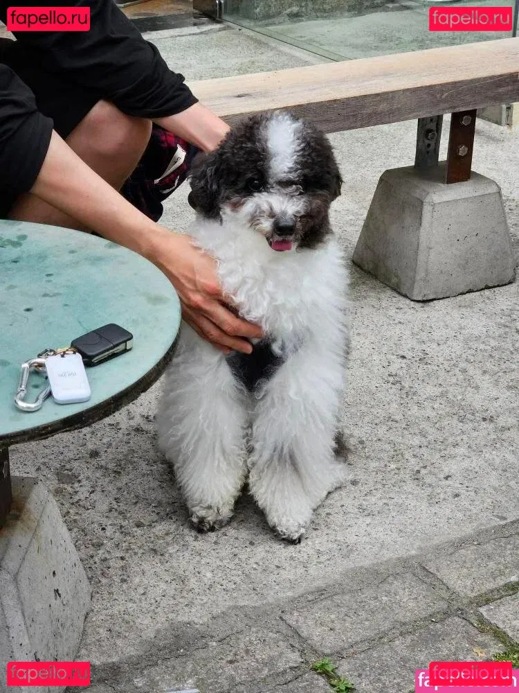 xxapple / xxapple_e Onlyfans Photo Gallery 