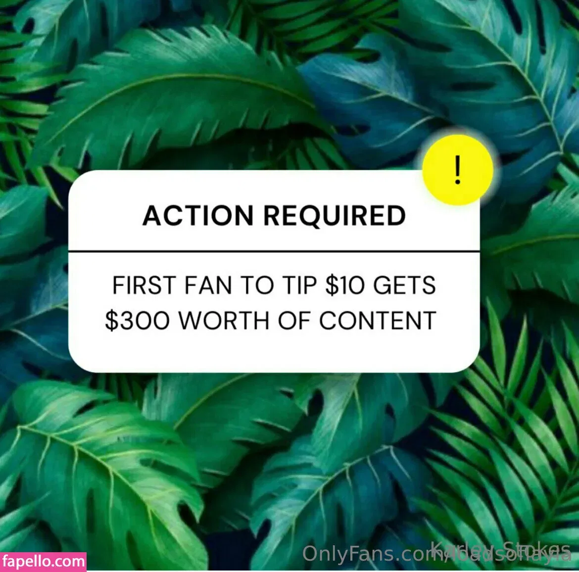 LoadsofLayla / loadsoflaila Onlyfans Photo Gallery 