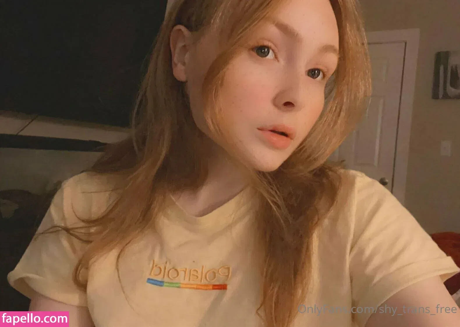 shesfree_ / shy_trans_free Onlyfans Photo Gallery 