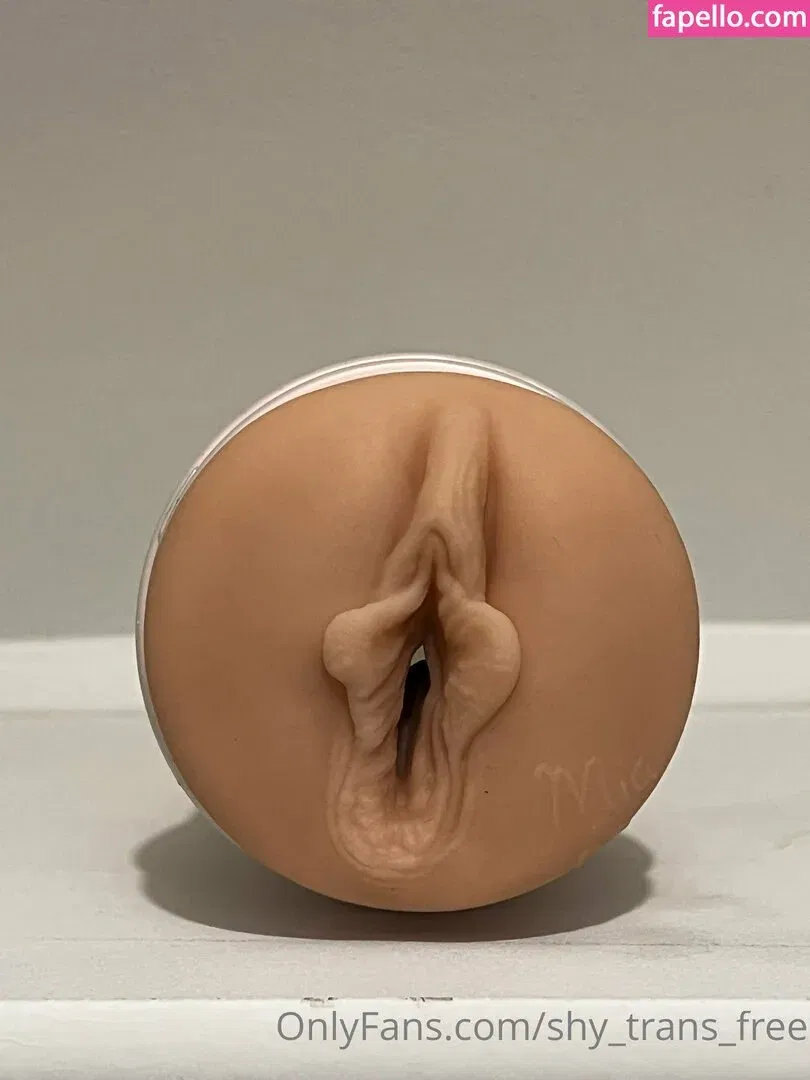 shesfree_ / shy_trans_free Onlyfans Photo Gallery 