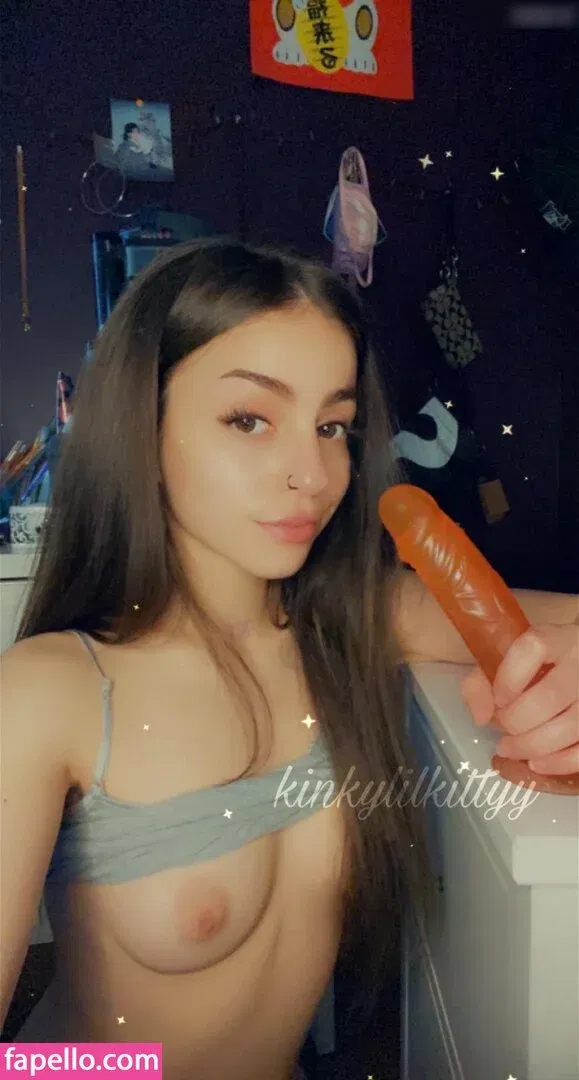 Kinkylilkitty / xomaddykxo Onlyfans Photo Gallery 